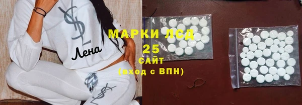 круглые Аркадак