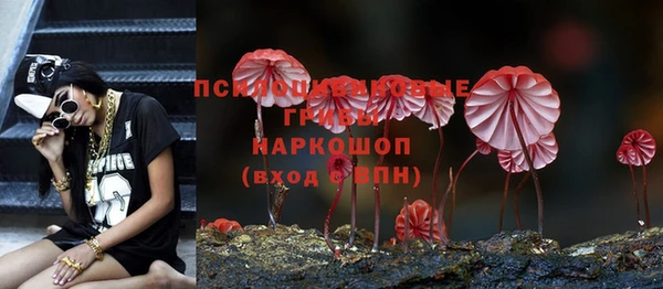 ешки Арсеньев